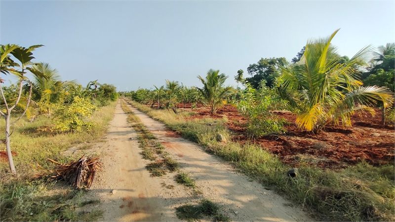 Farmlands