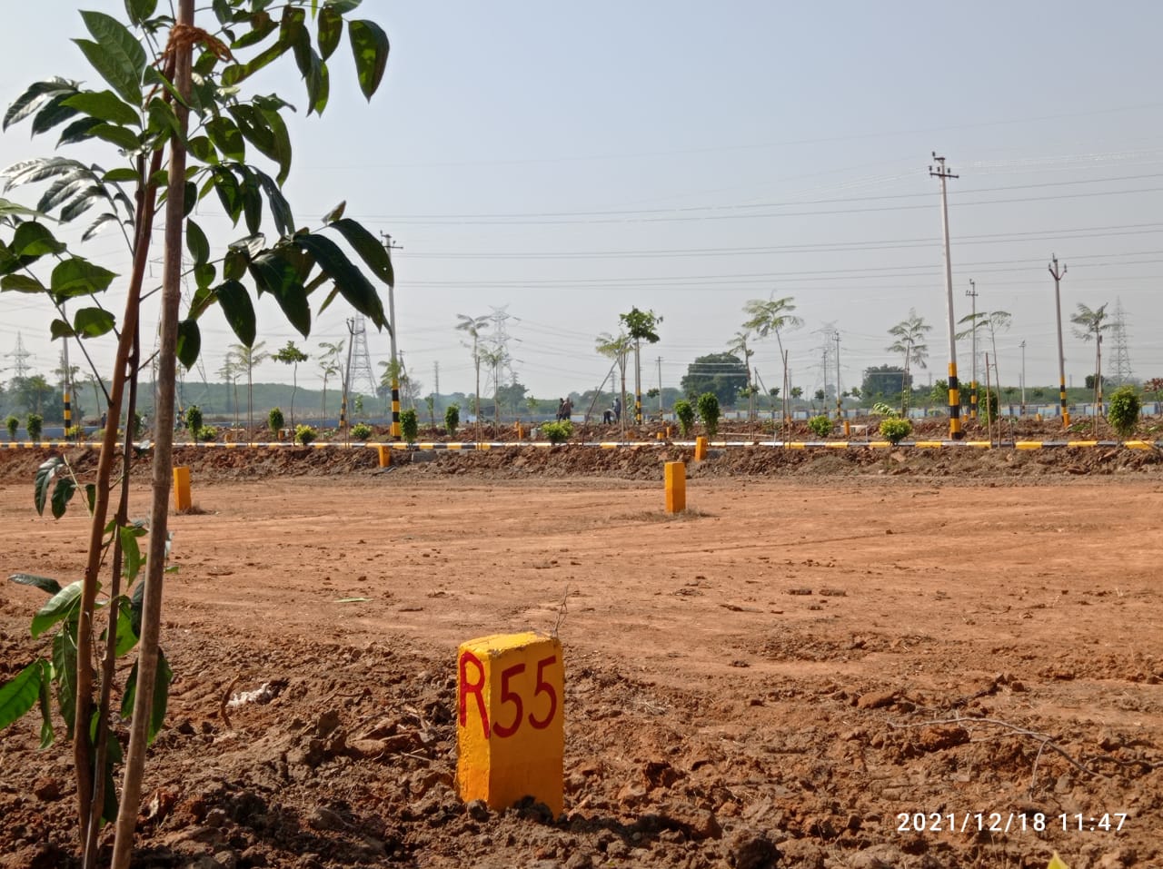 Brindavan Plots