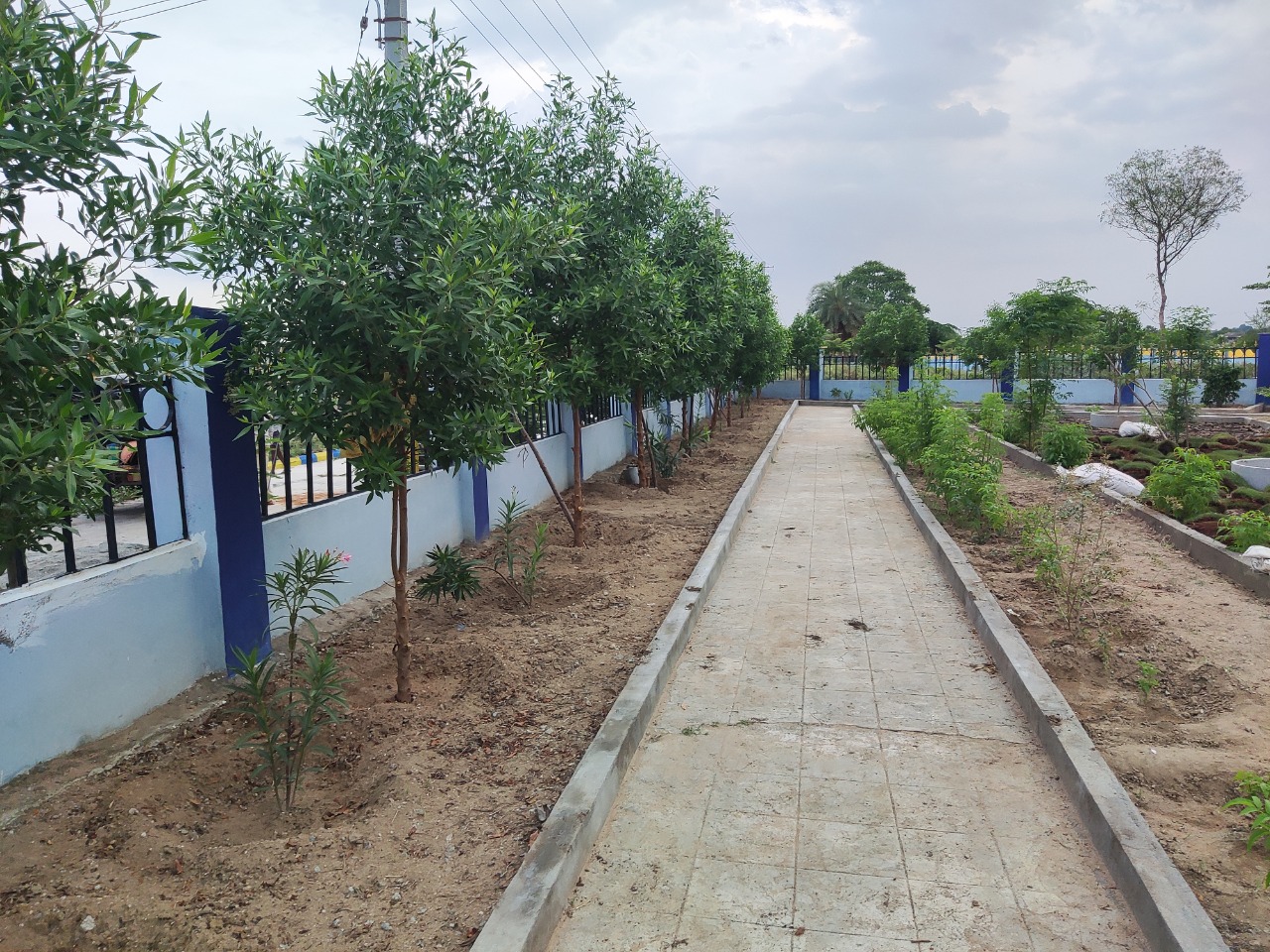 Landscaping