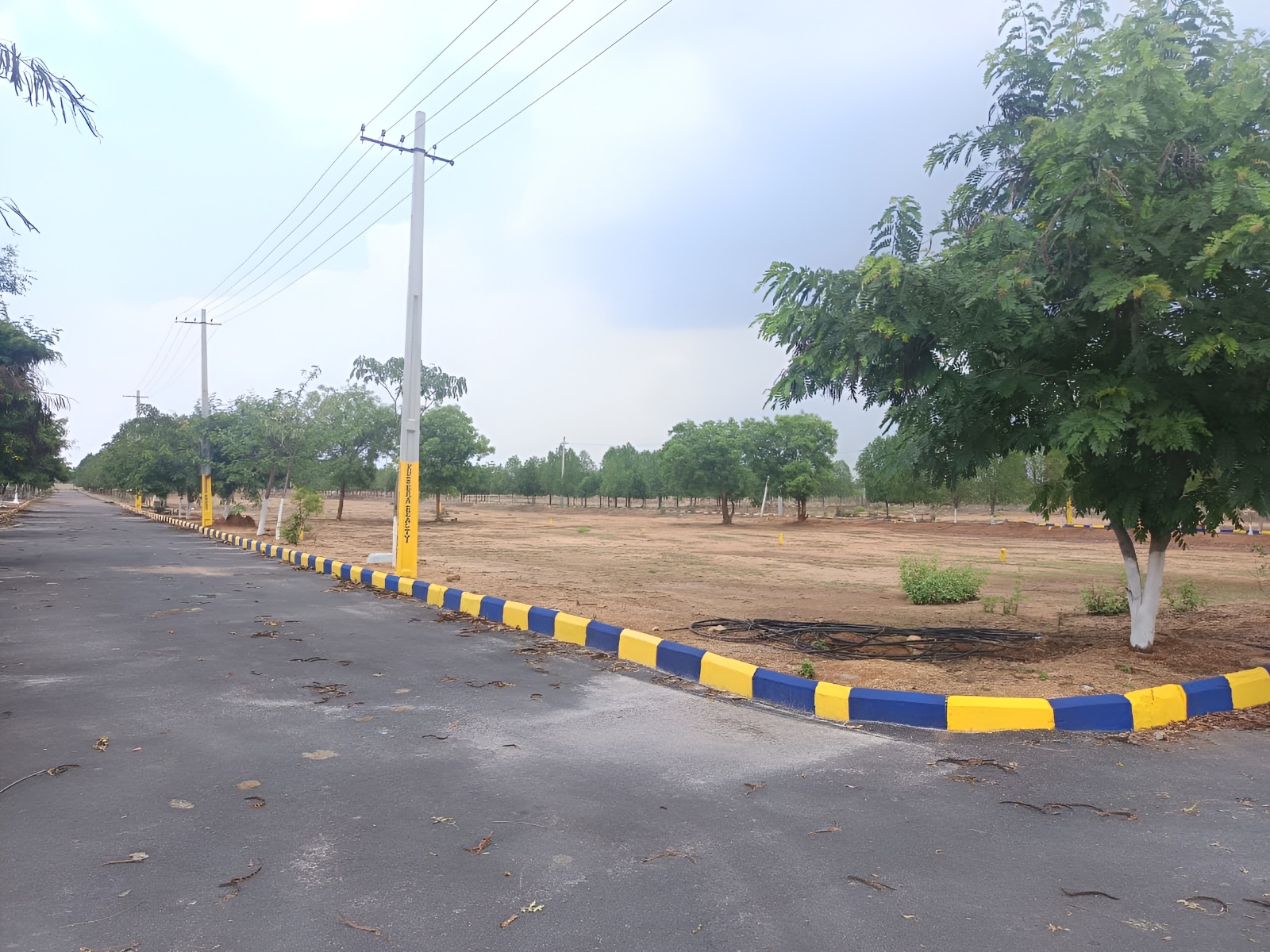 Garden Area